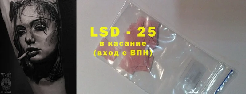 KRAKEN   Камбарка  LSD-25 экстази ecstasy 